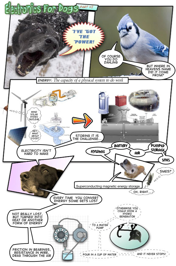 Electronics for Dogs Part VI